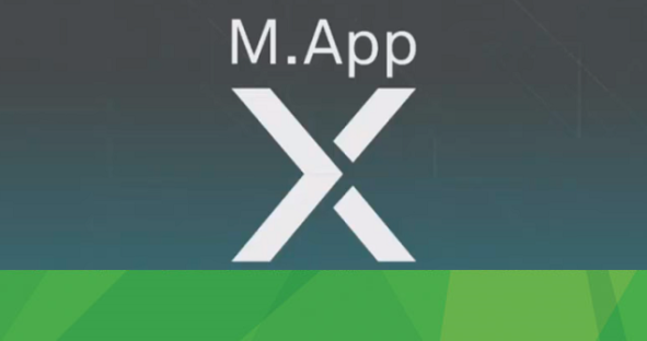 Introducing M.App X