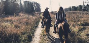 Horse Trail Mobile Alert Smart M.App - Lodz, Poland