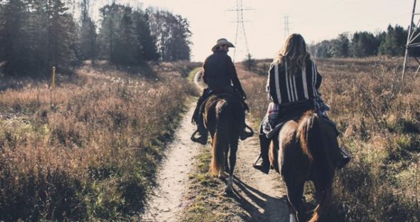 Horse Trail Mobile Alert Smart M.App - Lodz, Poland