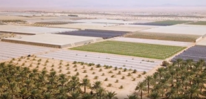 Land irrigation