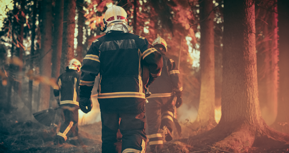 Preventing wildfires: The role of geospatial technology Geospatial technology for fire