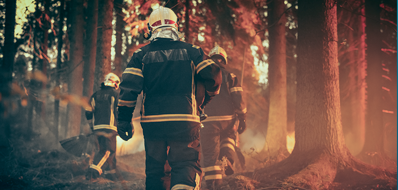 Preventing wildfires: The role of geospatial technology Geospatial technology for fire