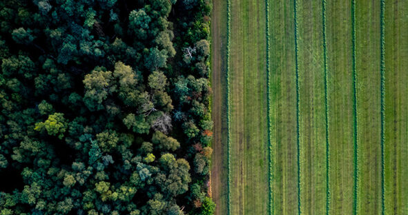 Agrogeomatics education