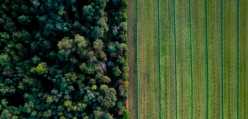Enhancing agrogeomatics education: A new avenue of collaboration  Agrogeomatics education