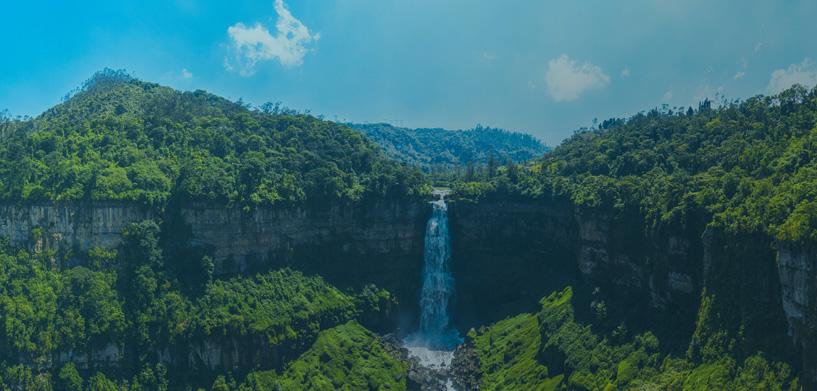 Environmental intelligence